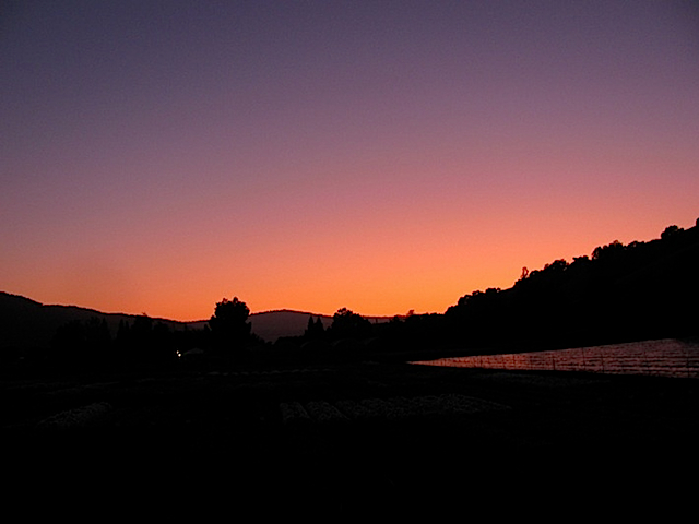 3sunsetB