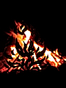 Phoenix in the fire 1