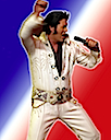 elvis usa