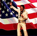 elvis salutes