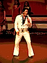 elvis rocks