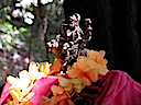 Goddess Durga