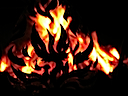 Phoenix in the fire 2