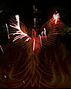 wings of shadow